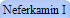 Neferkamin I